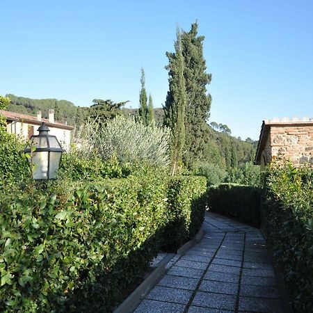 Apartamento Monolocale Con Piscina S.Martino Riparbella Exterior foto